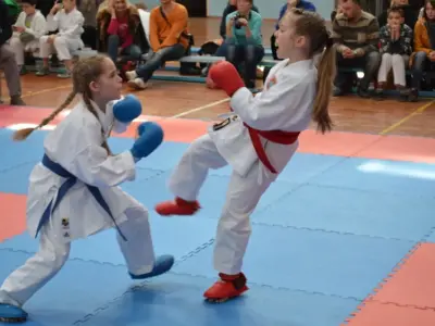 Турнір VINNITSA-CUP 2016