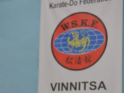 Турнір VINNITSA-CUP 2016