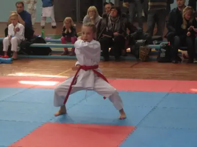 Турнір VINNITSA-CUP 2016
