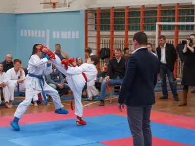 Кубок Вінницької області з карате, 2017
