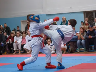 Кубок Вінницької області з карате, 2017
