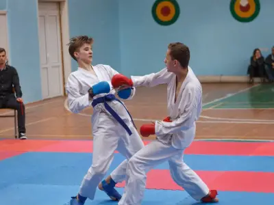 Кубок Вінницької області з карате, 2017