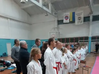 Чемпіонат Вінницької області з карате WKF, 2017