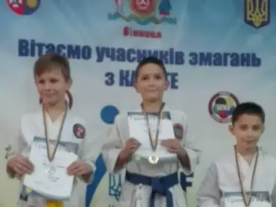 Чемпіонат Вінницької області з карате WKF, 2017